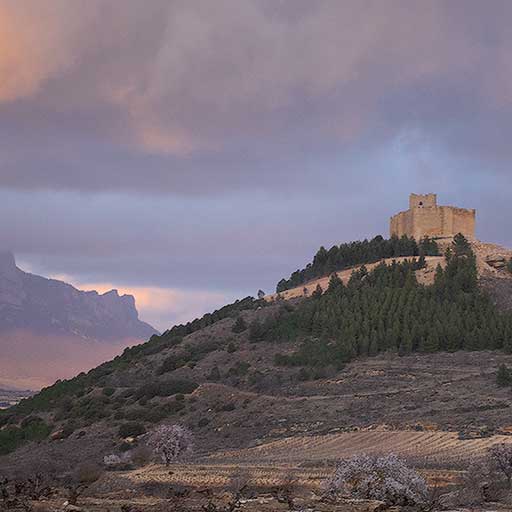 Castillo de Davalillo