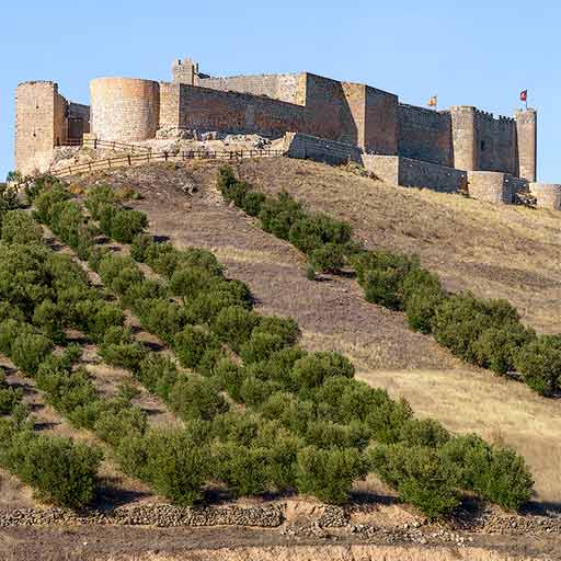 Castillo de Jadraque en Guadalajara