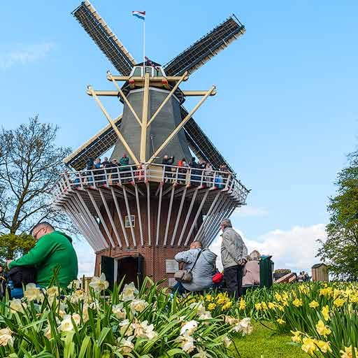 Molino de los Jardines de Keukenhof