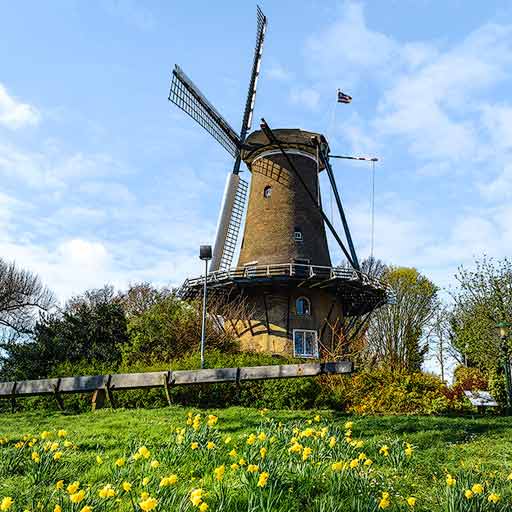 Molino de Piet en Alkmaar