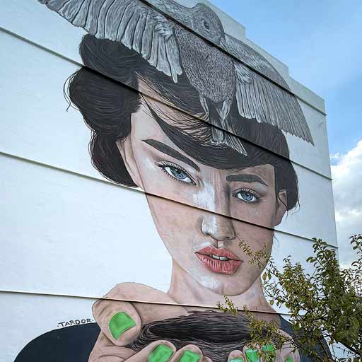 Murales de Benigembla en Alicante