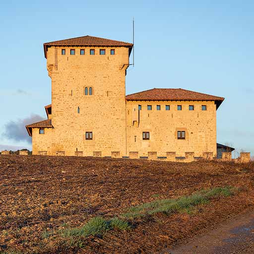 Torre-Palacio de los Varona en Valdegovía, Álava