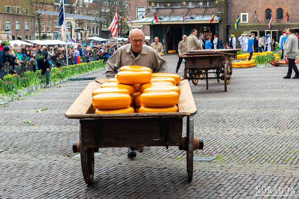 Transporte de los quesos en mercado