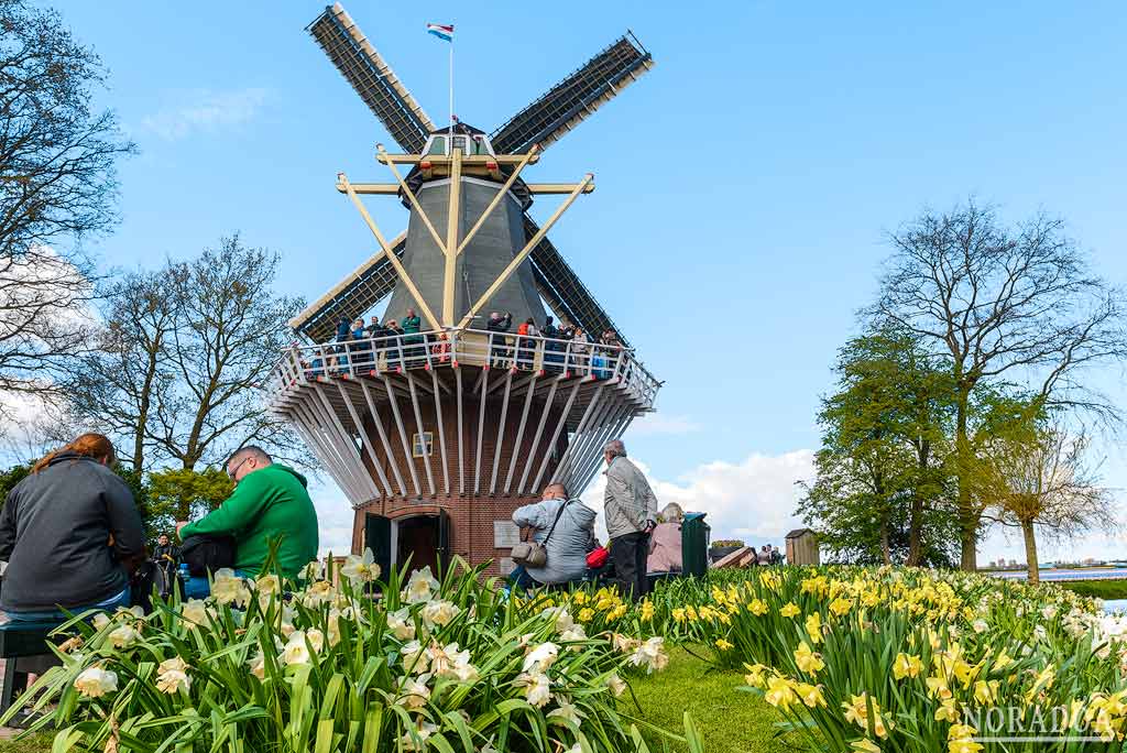 Molino de los Jardines de Keukenhof