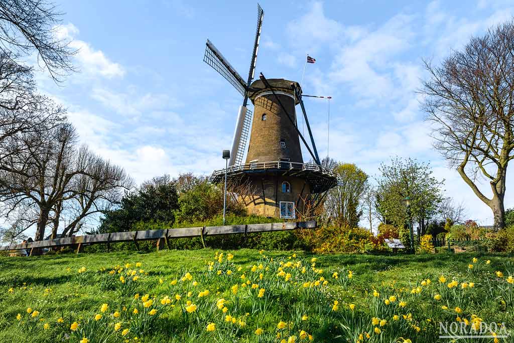 Molino de Piet en Alkmaar