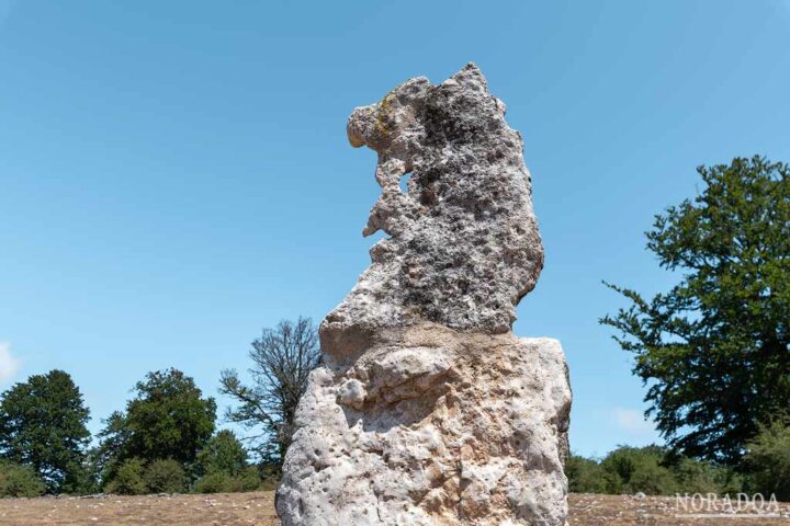 ¿No parece una cara la parte superior del menhir de Legaire Sur?