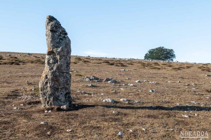 El menhir de Surbe Norte está situado en las faldas del Monte Surbe