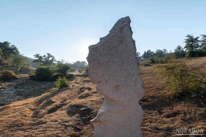 El menhir de Surbe Sur fue uno de los últimos en ser descubierto