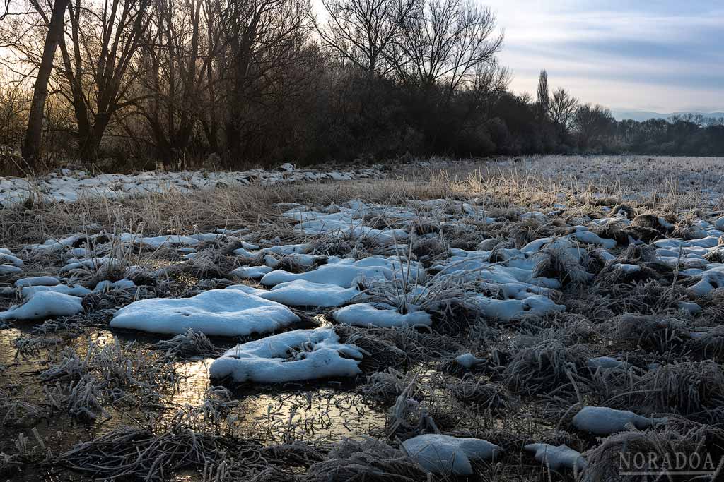 Hielo y nieve en la balsa de Arkaute
