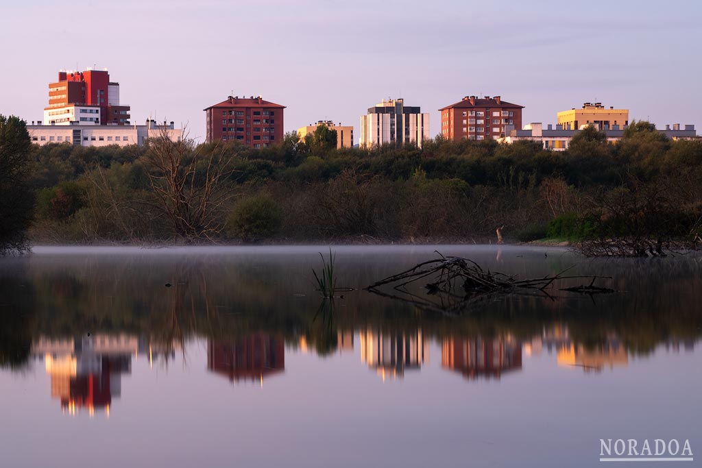 Balsa de Betoño en el Parque de Salburua de Vitoria-Gasteiz