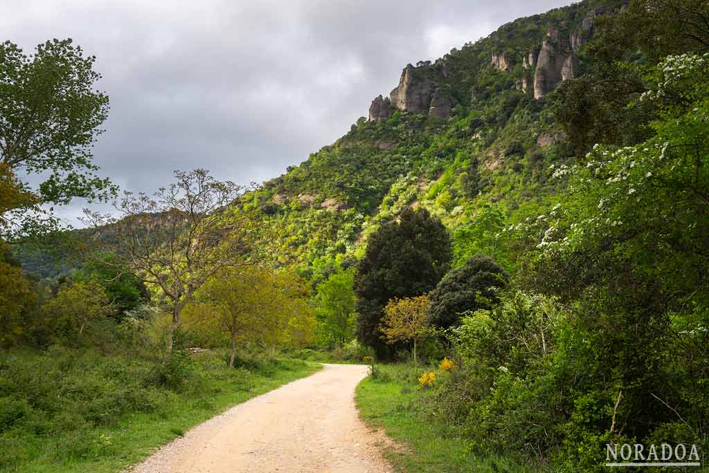 El Cañón del río Iranzu es un rincón natural de Navarra ideal para recorrer con niños