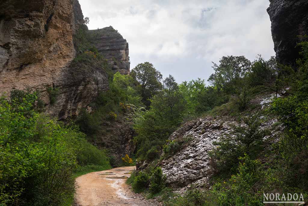 Zona más estrella del Cañón del río Iranzu