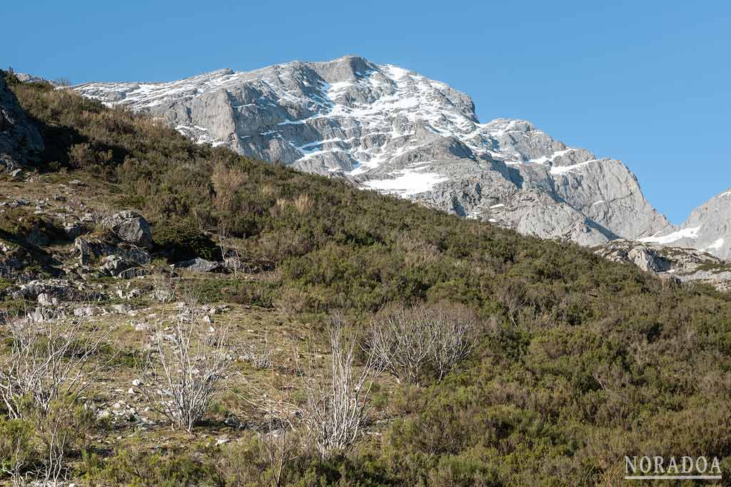 Monte Espigüete en el Parque Natural de Fuentes Carrionas y Fuente Cobre