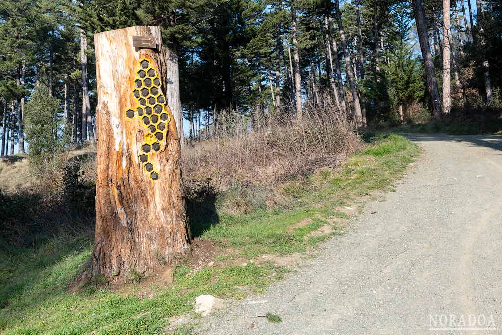 El Sendero de Hazitxo es ideal para hacer una excursión familiar