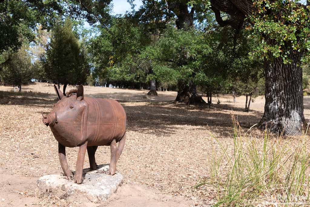 El jabalí del Sendero de la imaginación en Hortigüela