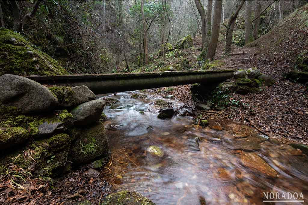 Puente sobre el arroyo Rigüello