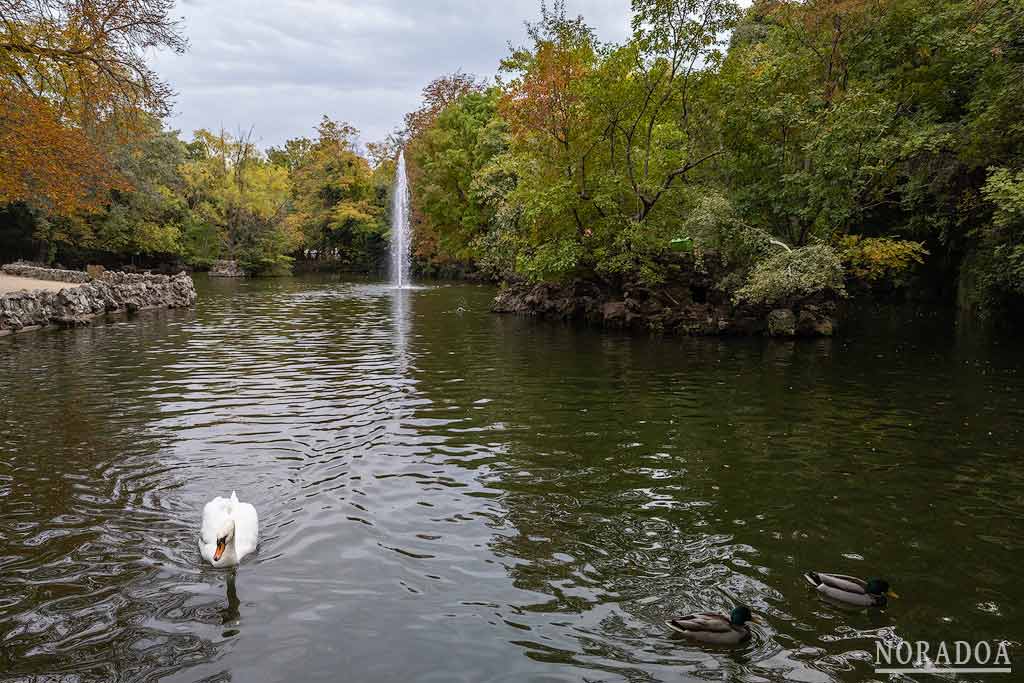 Estanque del Campo Grande