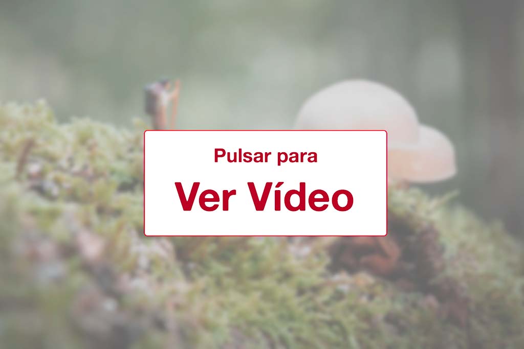 Ver video