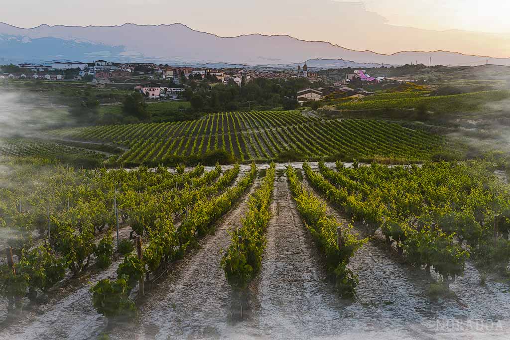 Pueblos más bonitos de Álava del 2020