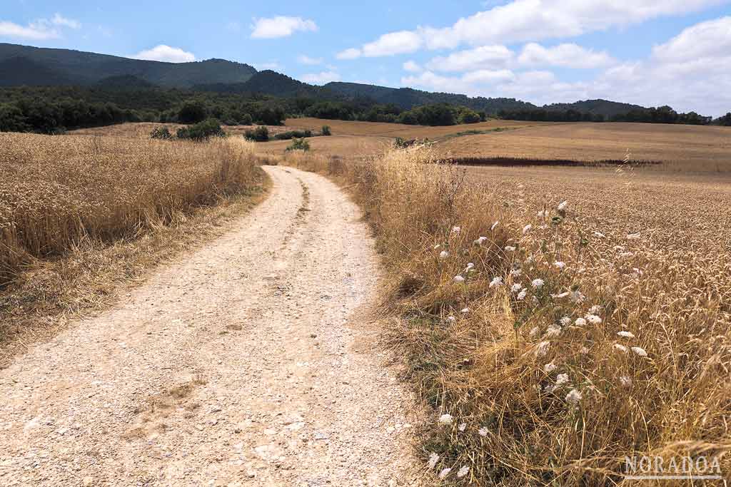 Camino a la Cascada del Molino de Larraona